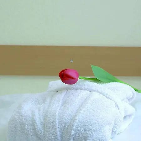 لايبزيغر هوف انسبروك 4* إنسبروك